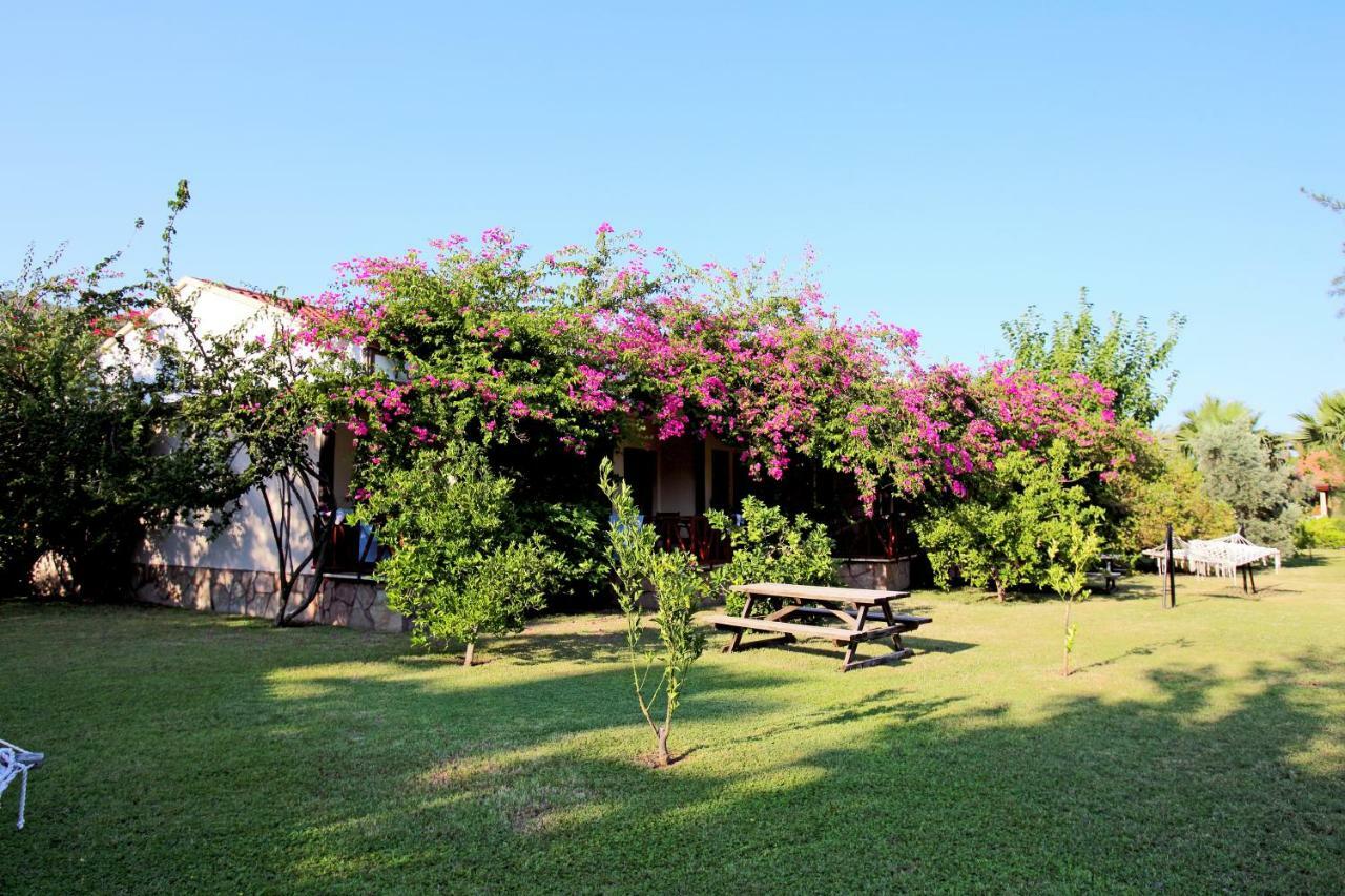 Nerissa Hotel Çıralı Exterior foto